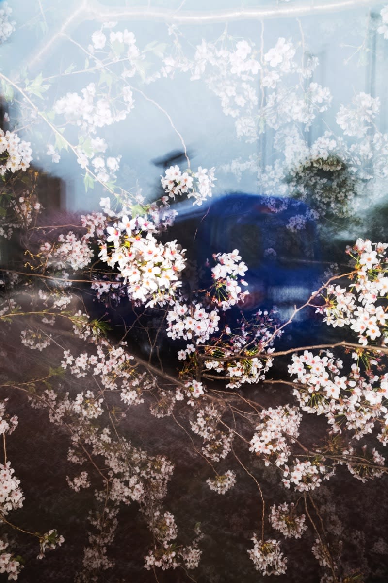 COLORS 水谷吉法 yoshinori mizutani Yoshinori Mizutani | 水谷吉法