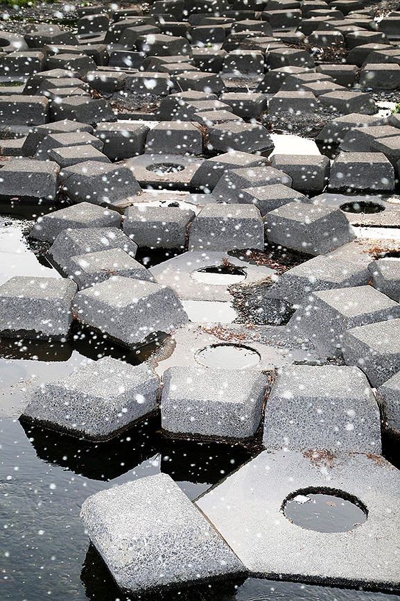 Yoshinori Mizutani - Yusurika | IBASHO