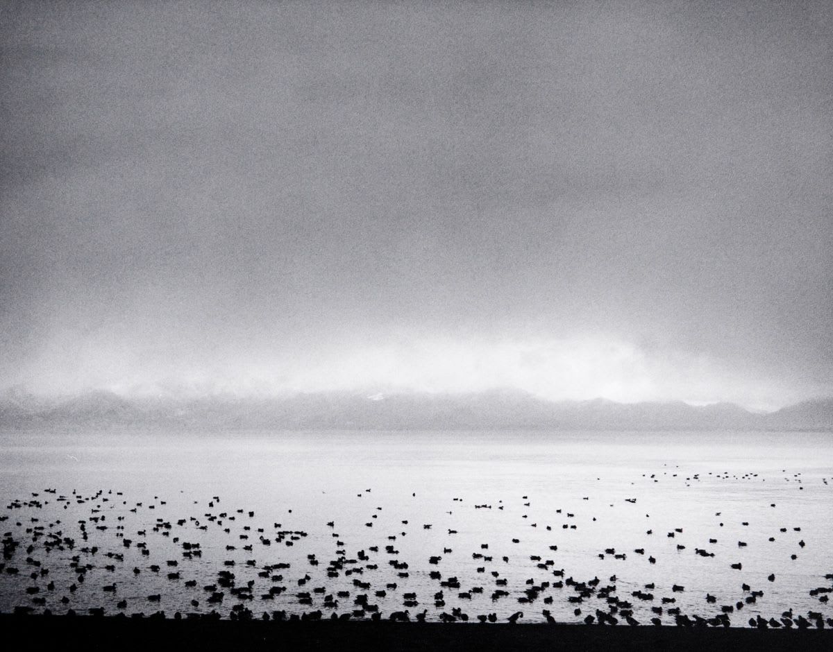 Pentti Sammallahti | IBASHO