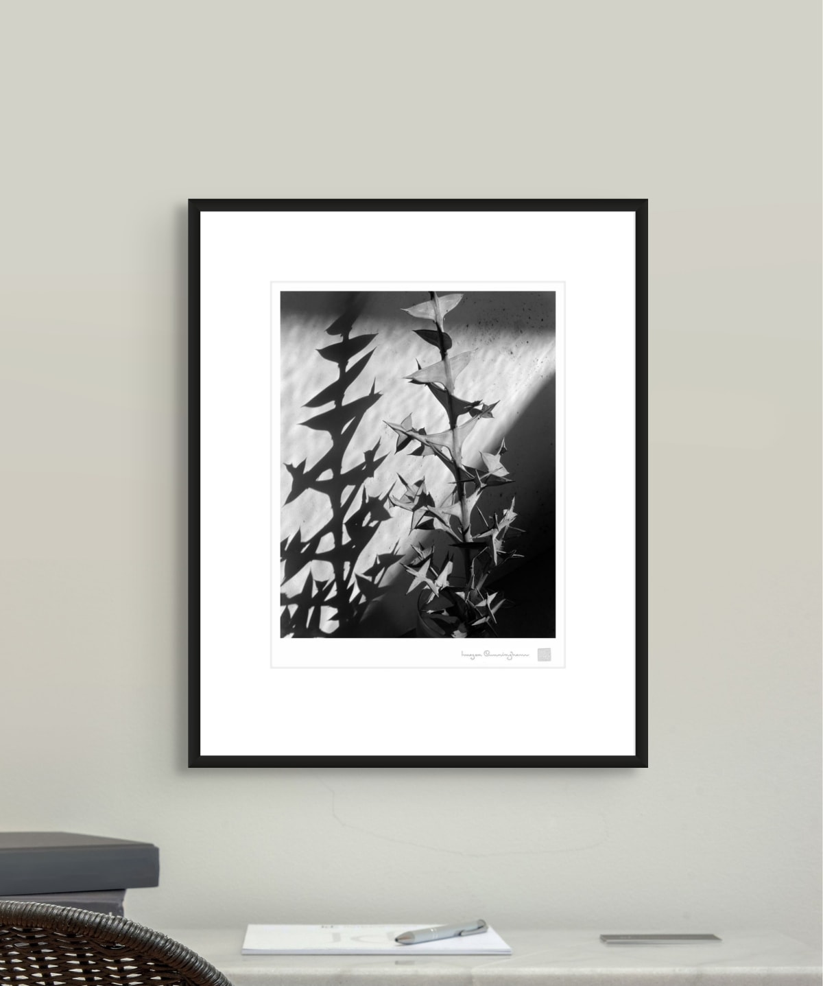Botanicals | Imogen Cunningham Official Site