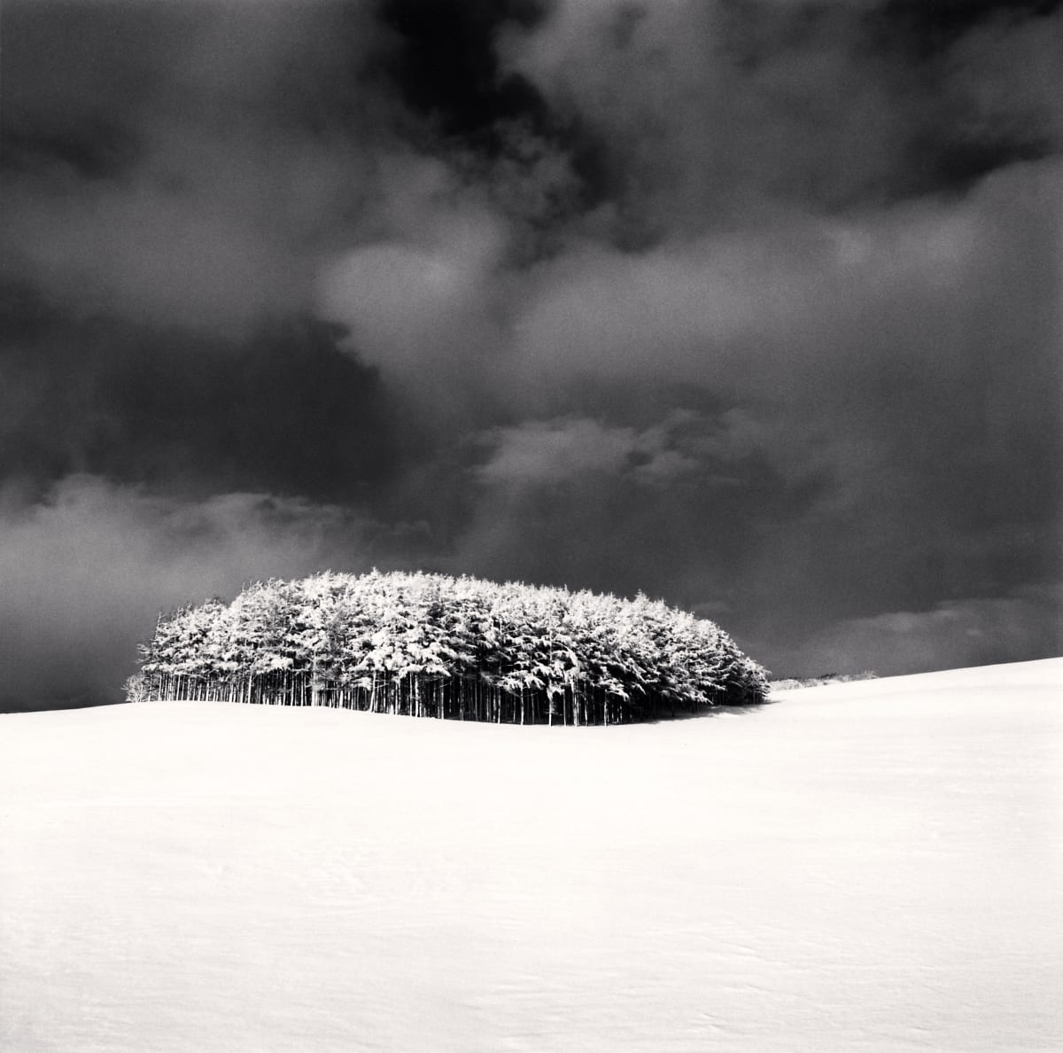 Amazon.com: Forms of Japan: Michael Kenna: 9783791388267