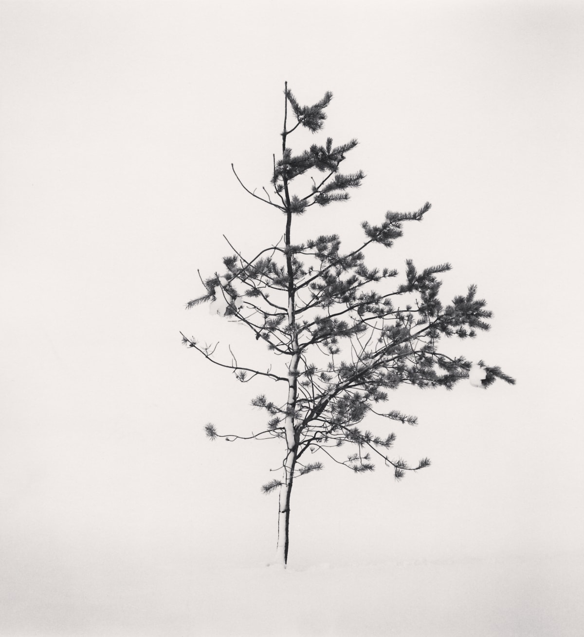 Michael Kenna - Forms of Japan | Ira Stehmann