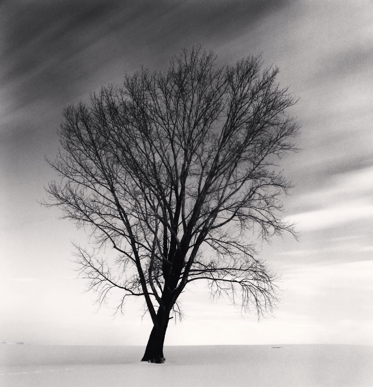 Michael Kenna - Forms of Japan | Ira Stehmann