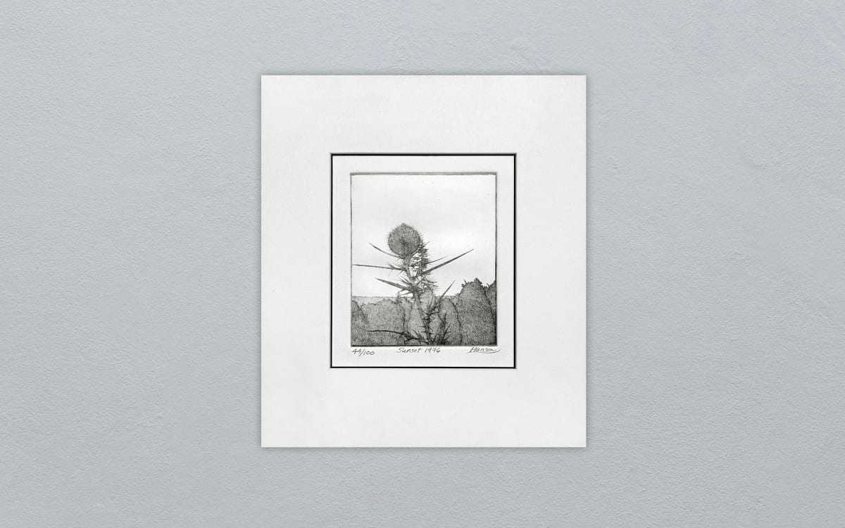 Sunset 1976 - 44/100