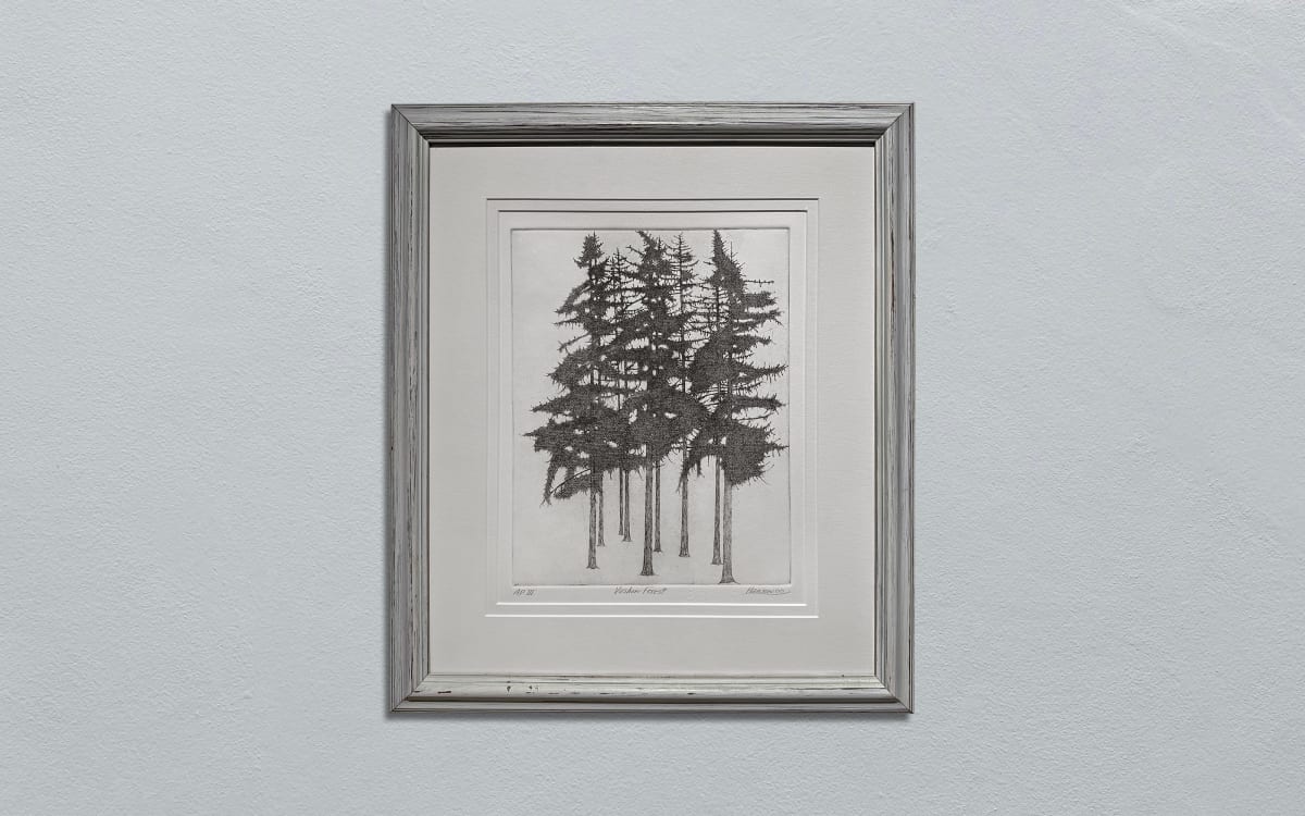 Vashon Forest -00- APIII