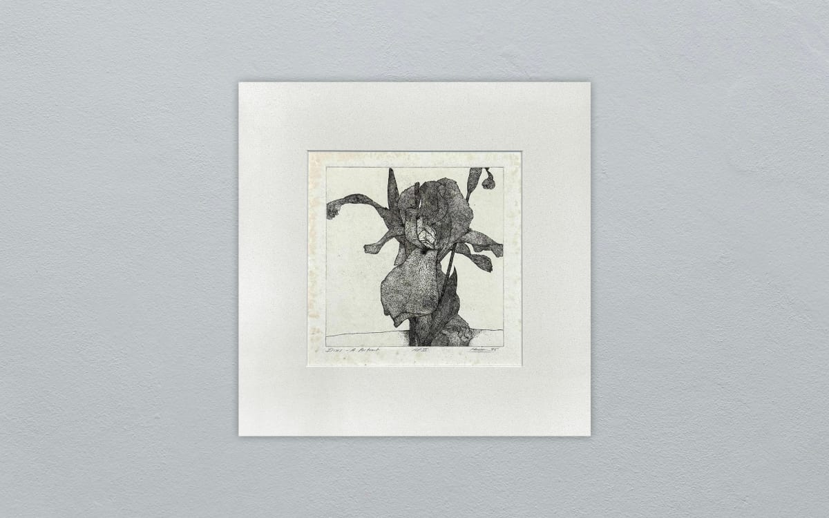 IRISES A PORTRAIT, 75 APVI, 1