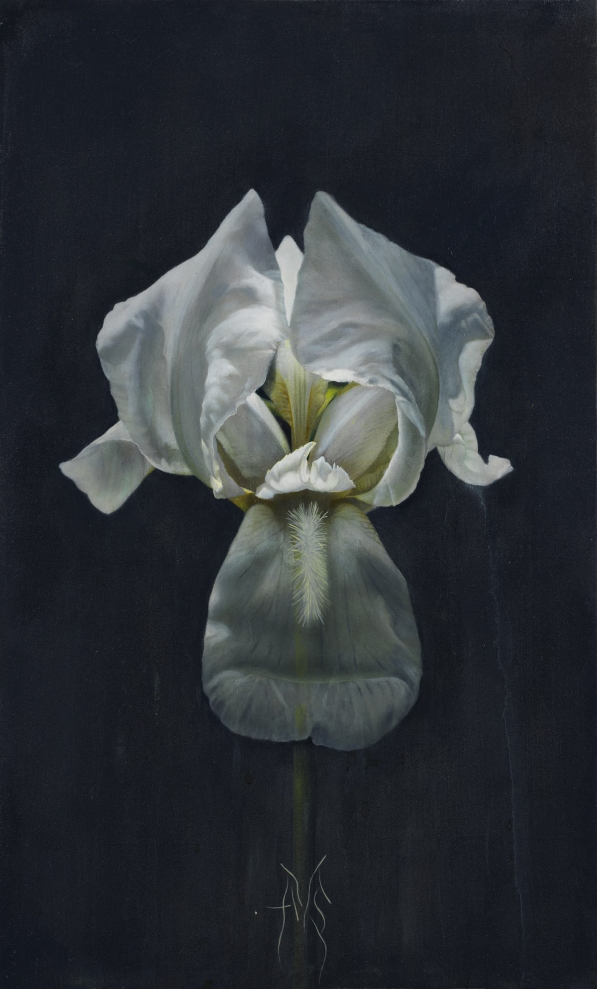 Works - Solaris - Solo Exhibition of Atsushi Suwa | Kwai Fung Hin