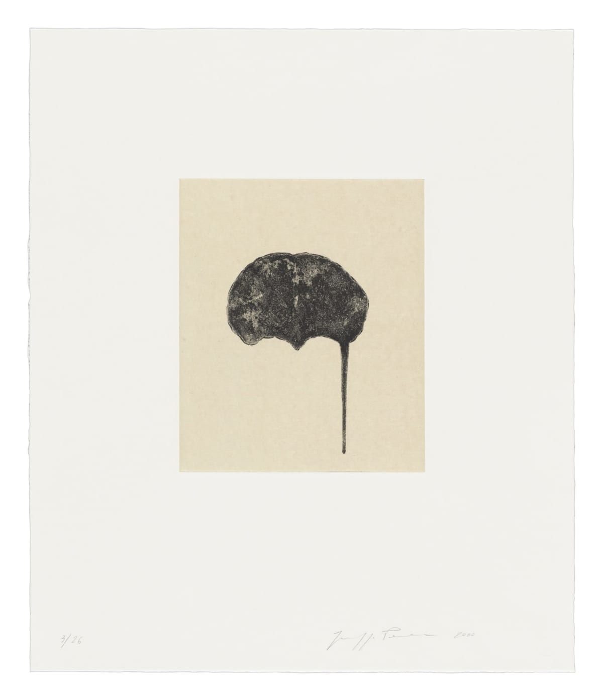 Giuseppe Penone - Works | The Lapis Press