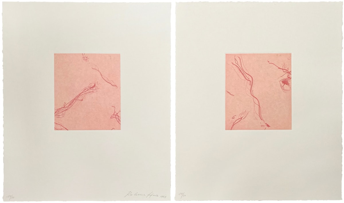 Rebecca Horn - Works | The Lapis Press