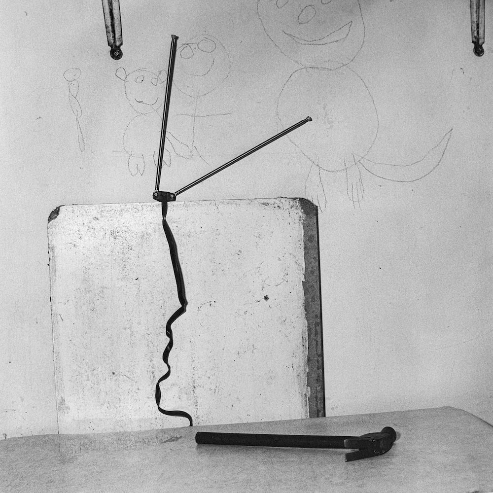 Roger Ballen | Show Off (2000) | Available for Sale | Artsy