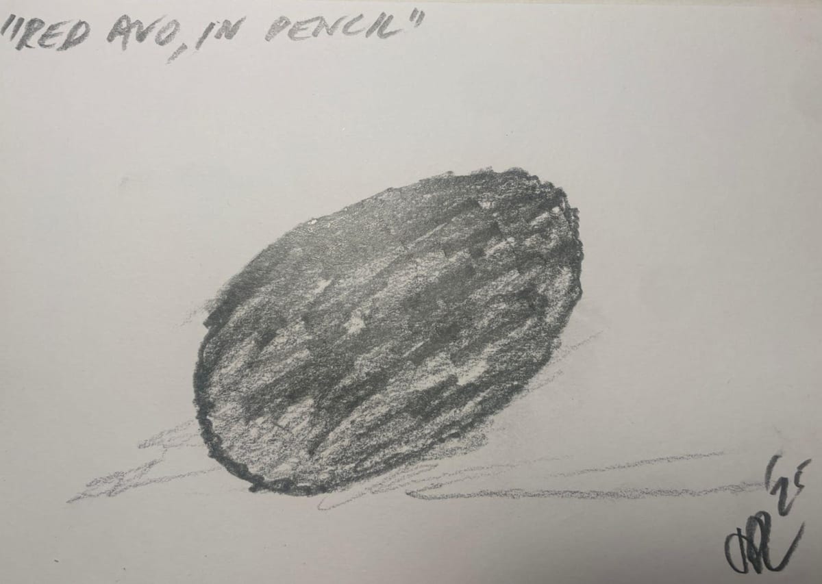 Avo 6, 2025