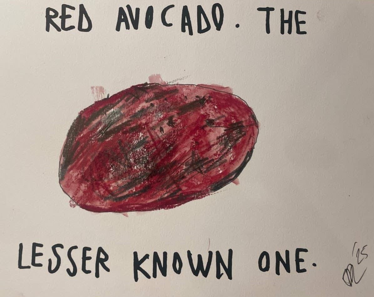 Avo 1, 2025