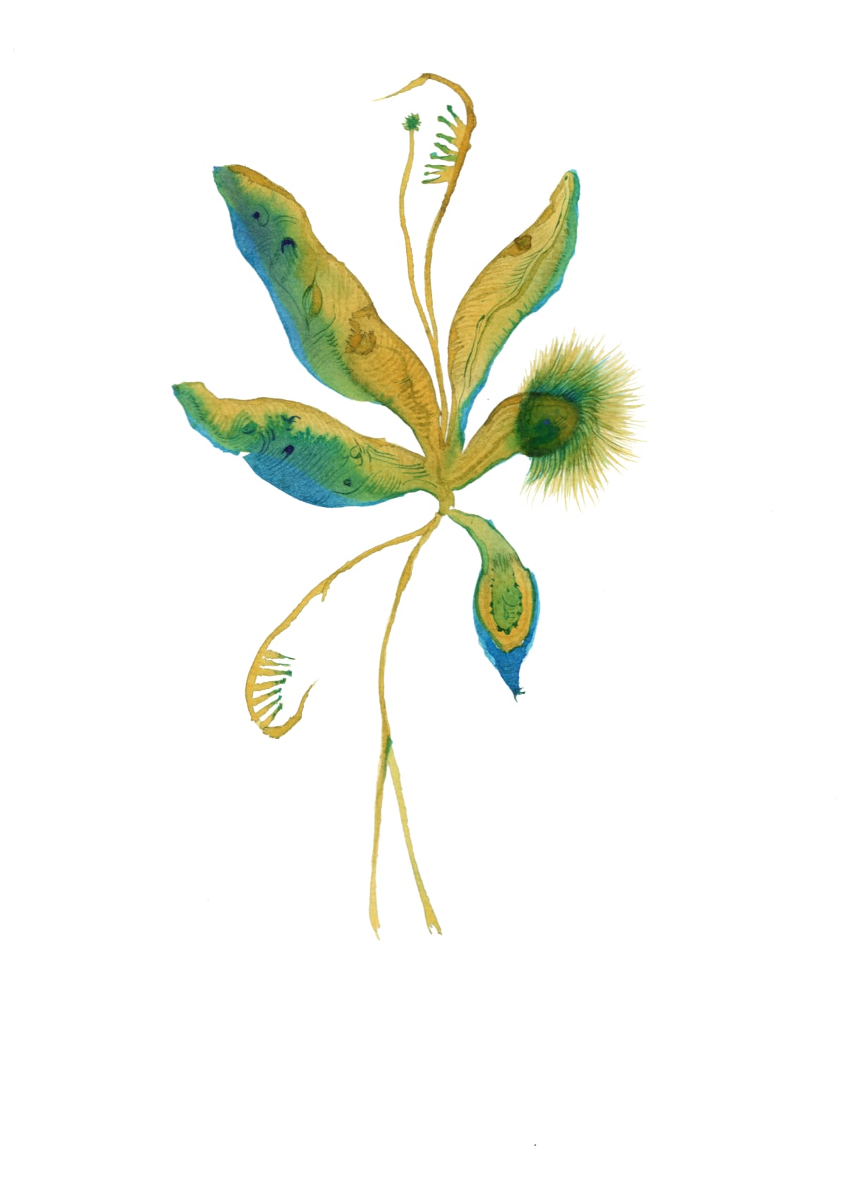 Joanna Kirk - Works | Lyndsey Ingram