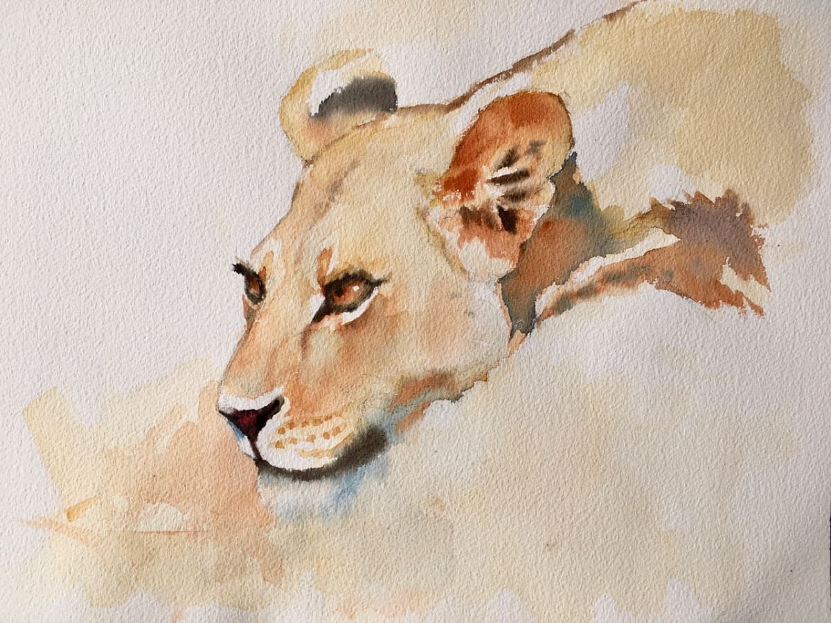 At The Water's Edge, Kalahari Lioness