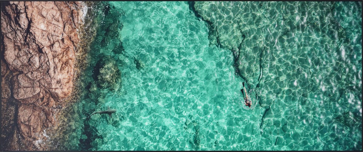 View from the Sky: Cove & Shark