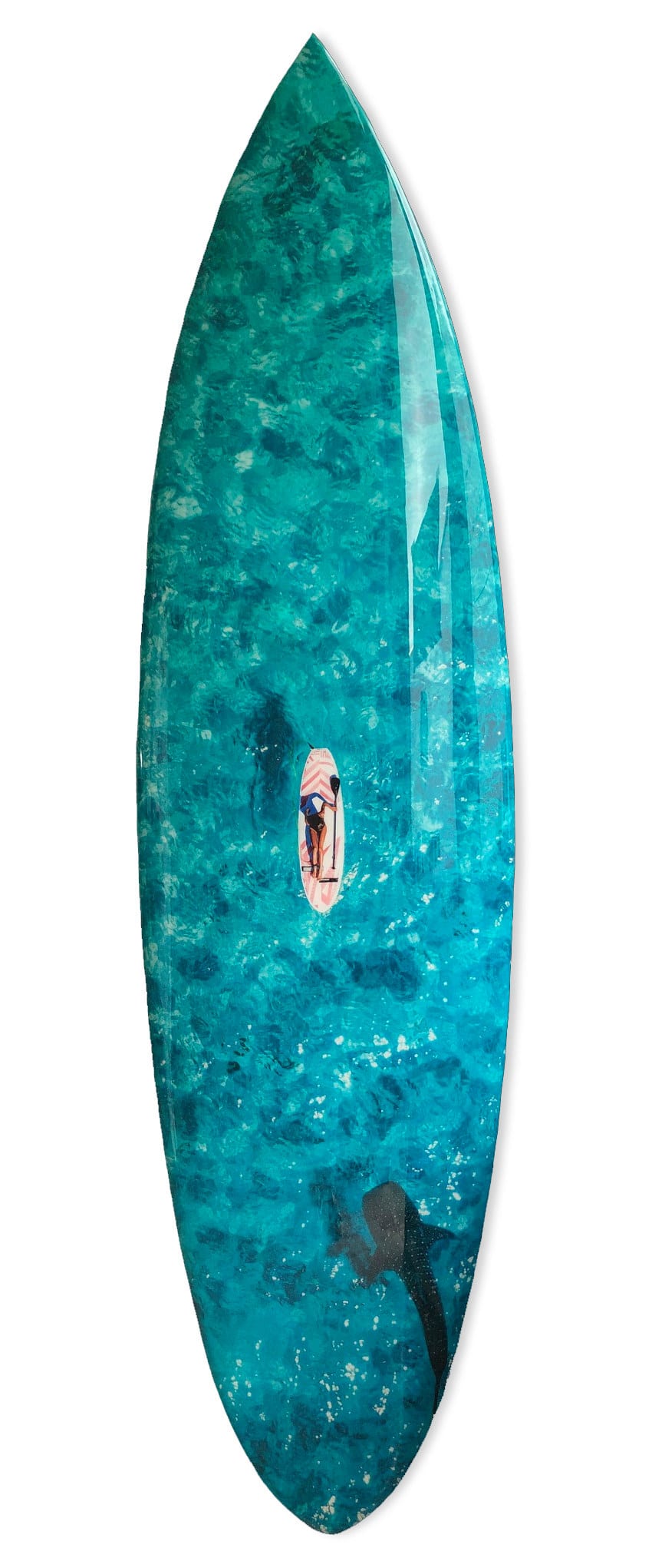 View from the Sky : PLANCHE Daddy Board "Sitting on a Paddle & Shark"