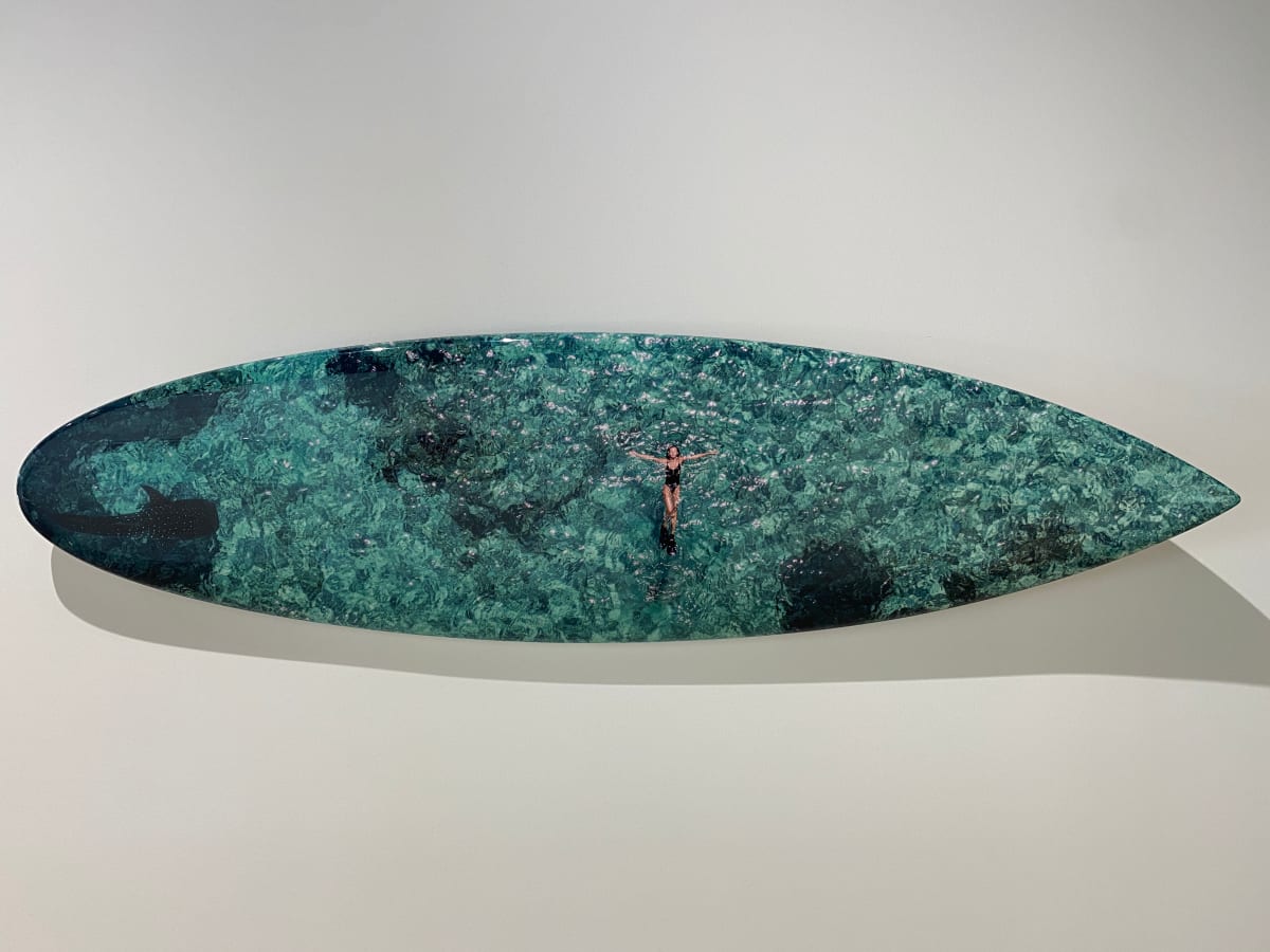 View from the Sky: PLANCHE Daddy Board (6,7") "Fins & Whale Shark")