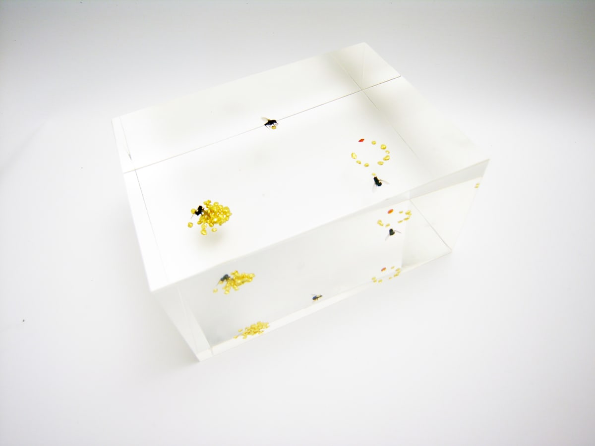 Ted Noten - Works | MPV Gallery