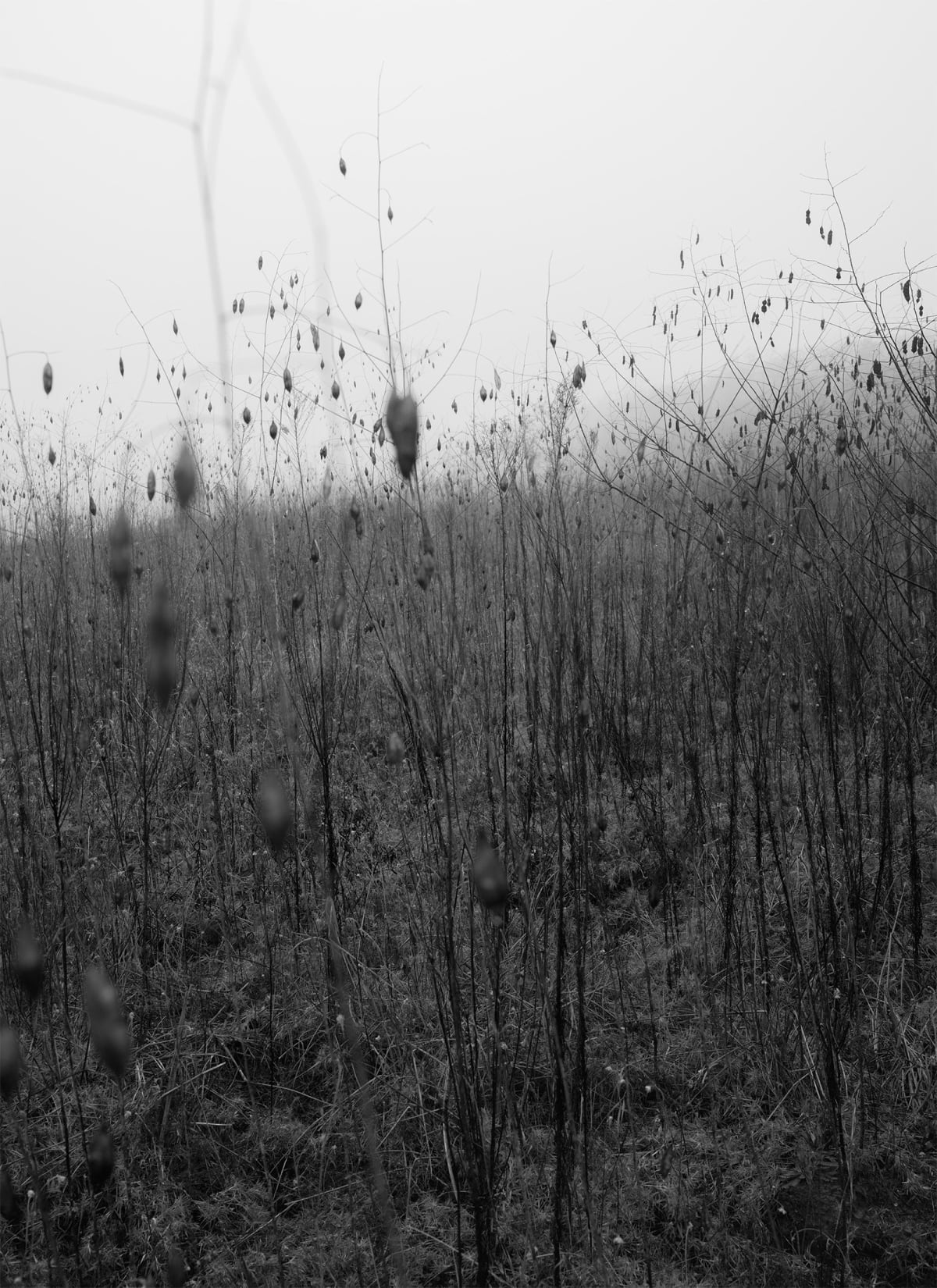 Bryan Schutmaat - County Road | Marshall Gallery