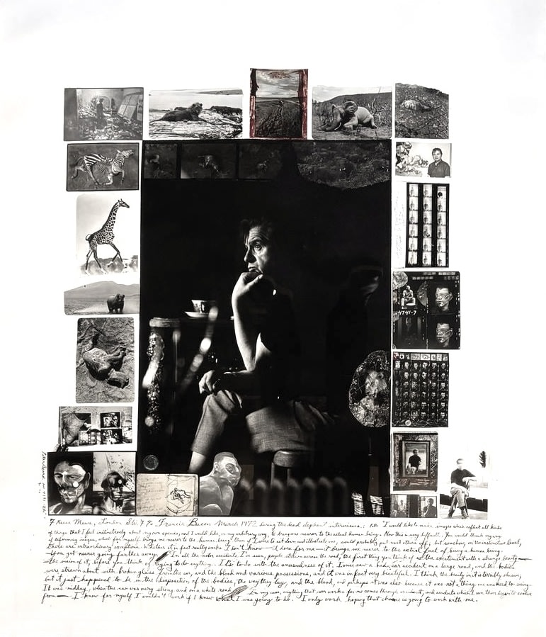 Peter Beard | Michael Hoppen Gallery