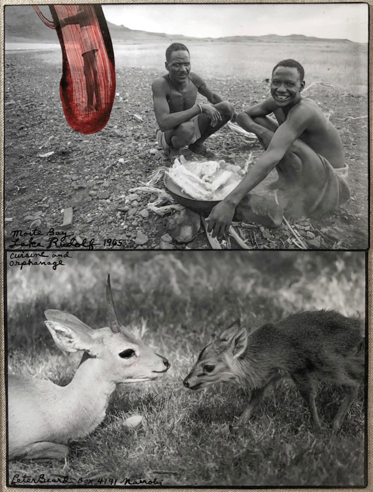 Harley Weir | Michael Hoppen Gallery