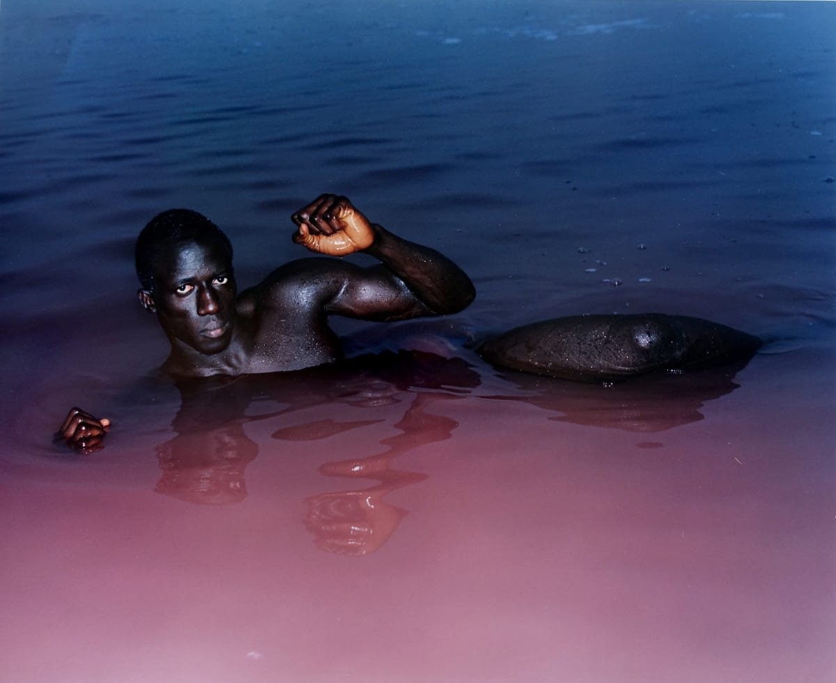Harley Weir | Michael Hoppen Gallery