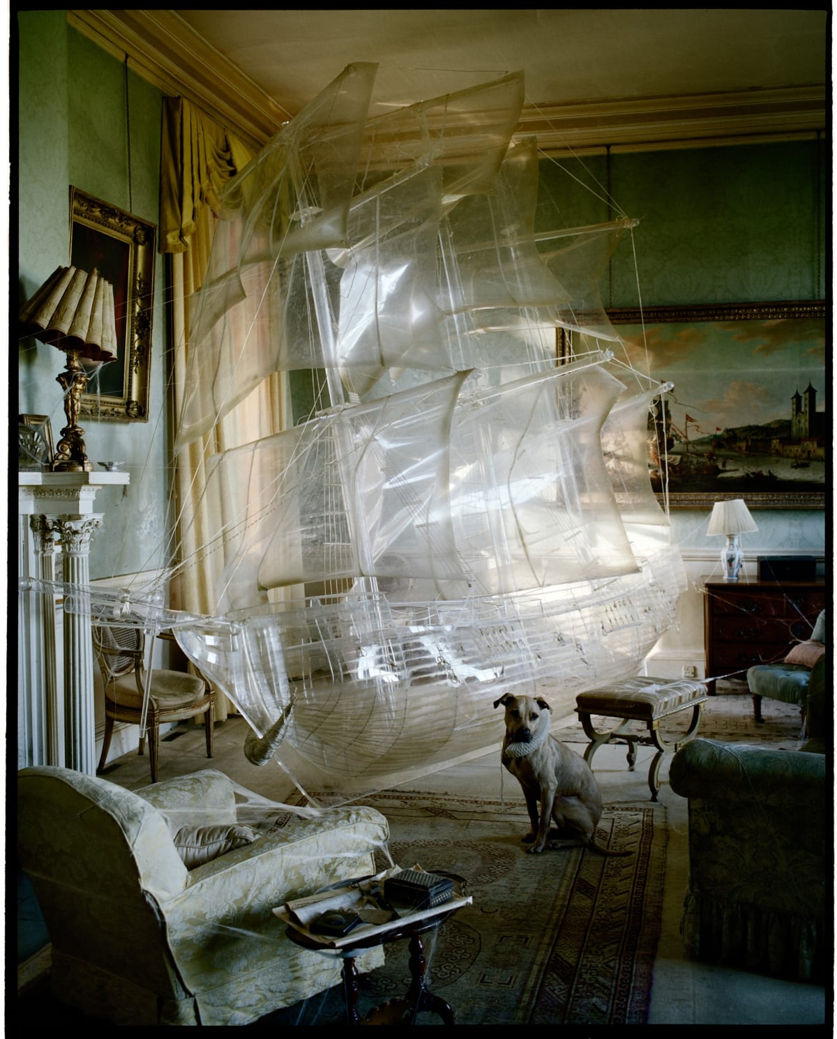 Tim Walker Pictures | AnthroHome