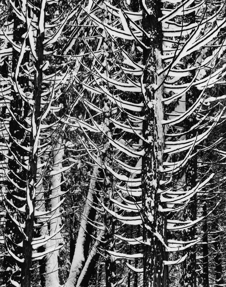 Ansel Adams Yosemite Valley Circa 1936 Black & White Framed Print ...