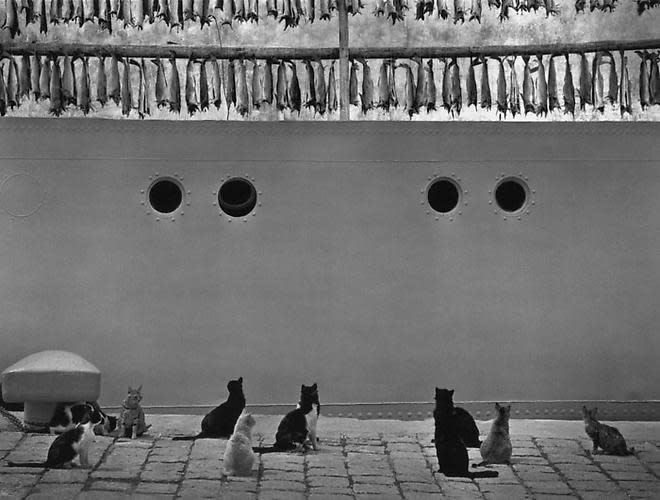 Pentti Sammallahti - Works | The Hulett Collection