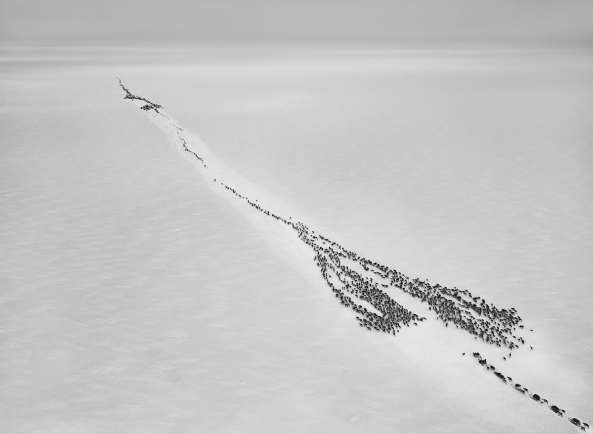エベレスト 山 ネパール 写真 額縁 Sergiy Gutiyev - メルカリ