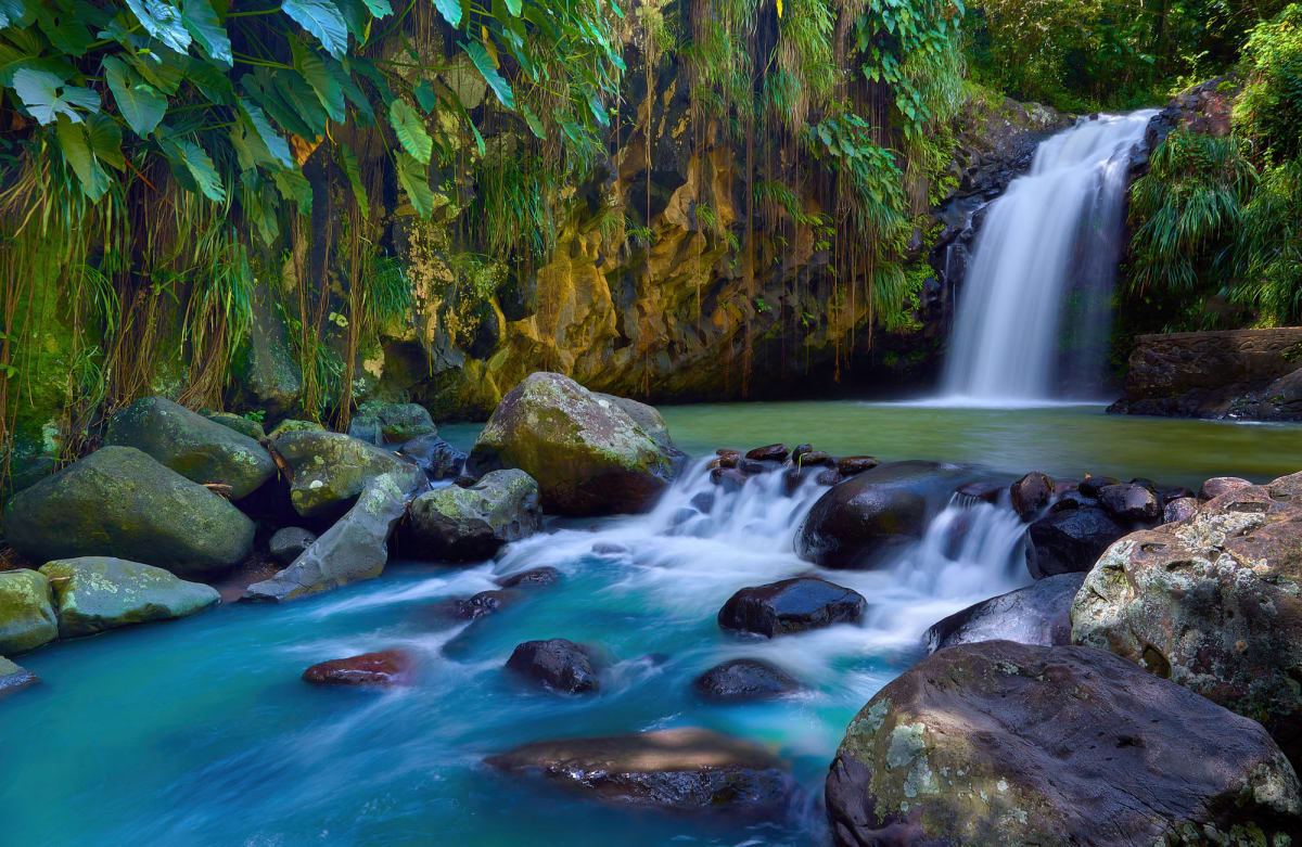 Hidden Oasis