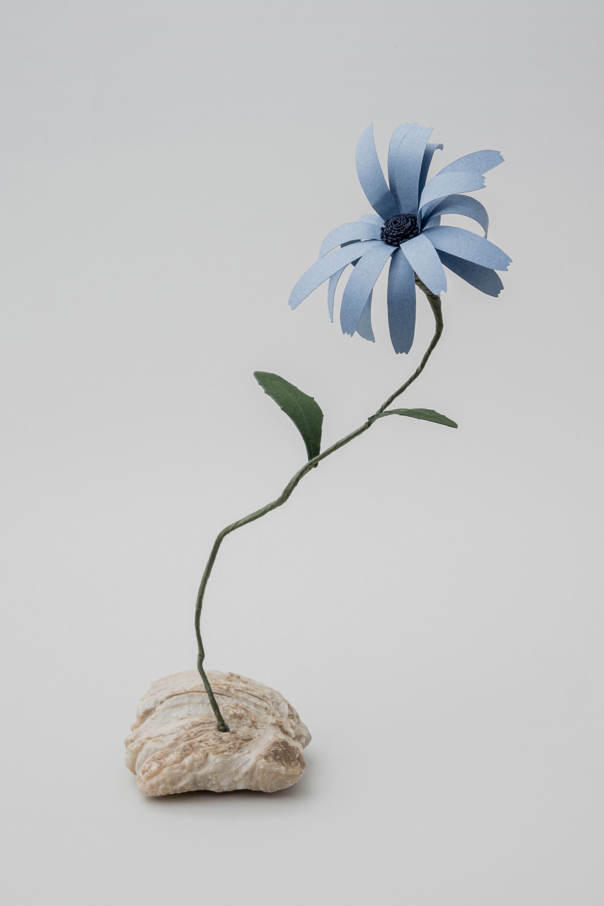 Megumi Shinozaki | November 14 - December 23, 2020 | Nonaka-Hill