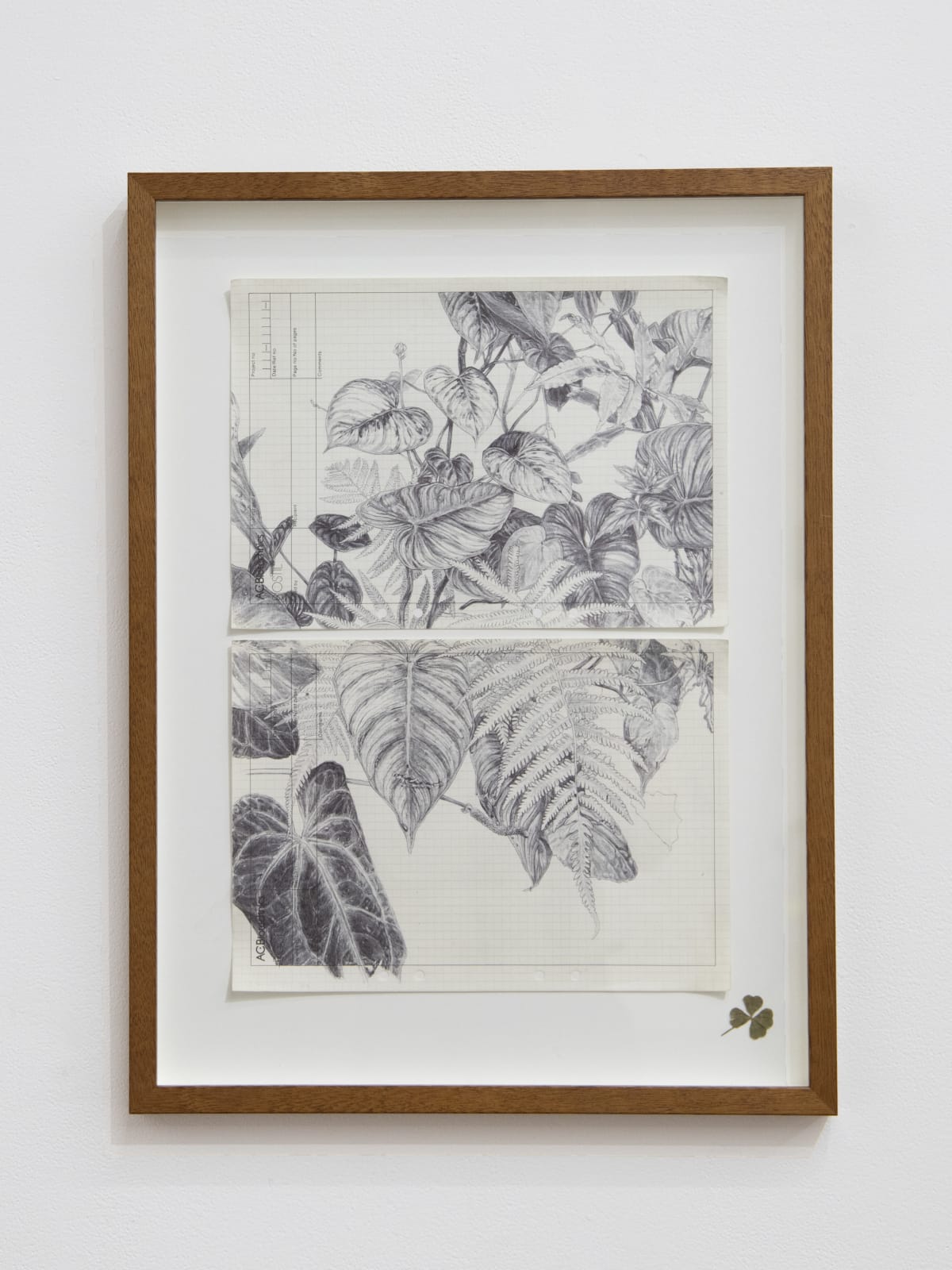 The Last Garden on Loftus Crescent. | N.Smith Gallery