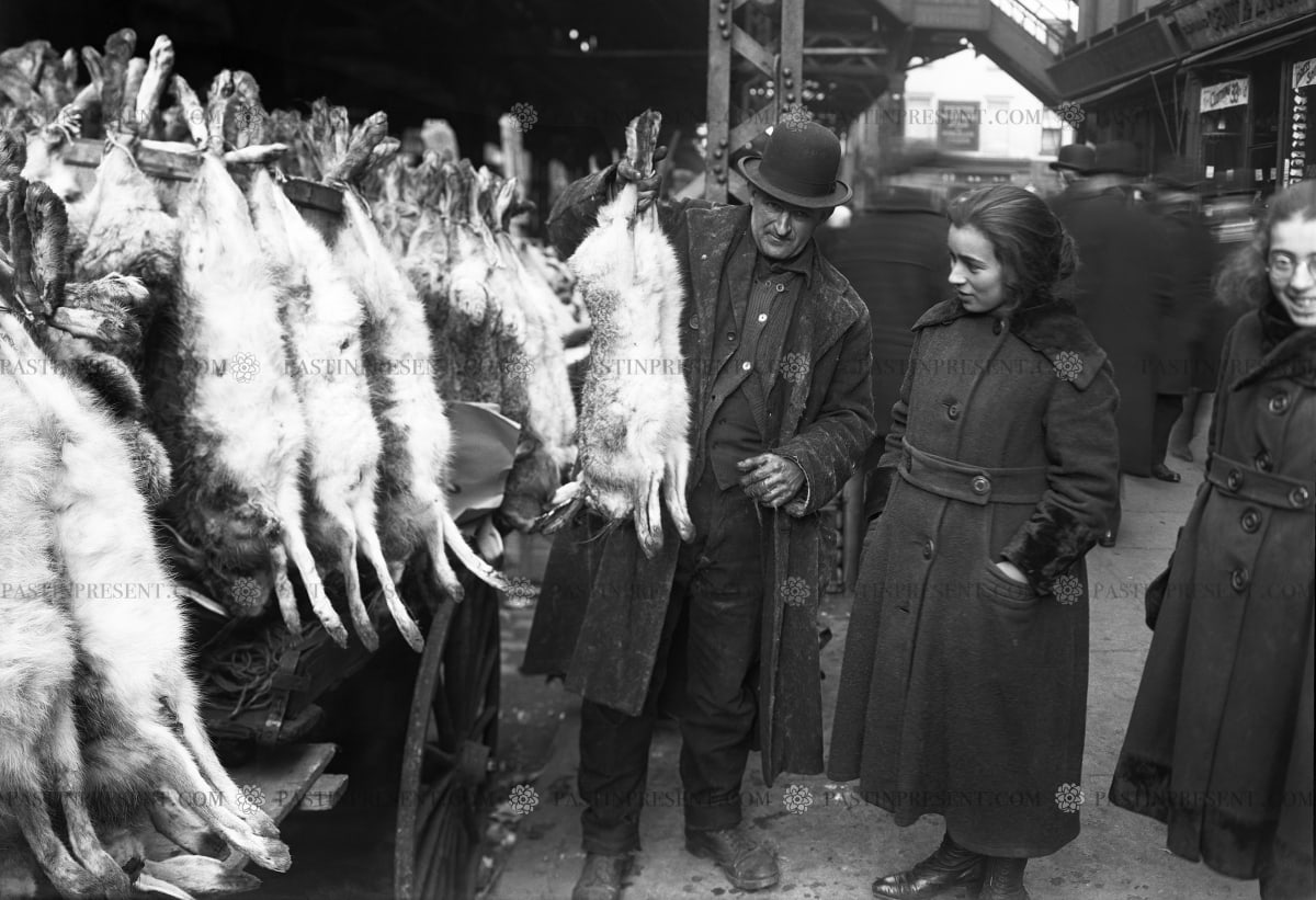 NYC Bowery Paddy’s Market Fresh Rabbit Meat , c.1900's