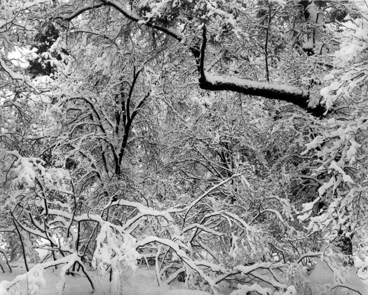 Works Ansel Adams Beauty Truth Peter Fetterman Gallery
