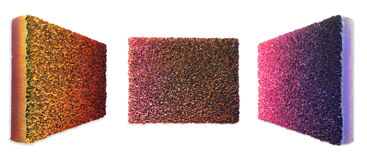 Zhuang Hong Yi, Flowerbed Colour Change B19-D038, 2019