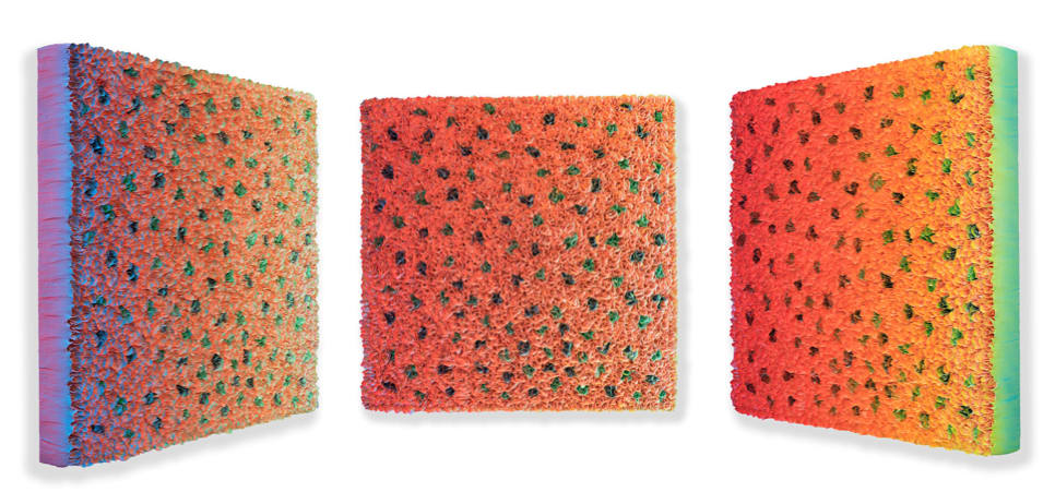 Zhuang Hong Yi, Flowerbed Colour Change #B19-20, 2019