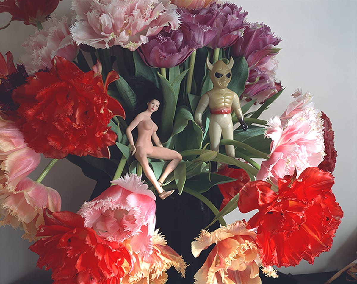 YAMI NO HANA ARAKI’s jewelry and flower YAMI NO HANA ARAKI's jewelry and flower Nobuyushi Araki
