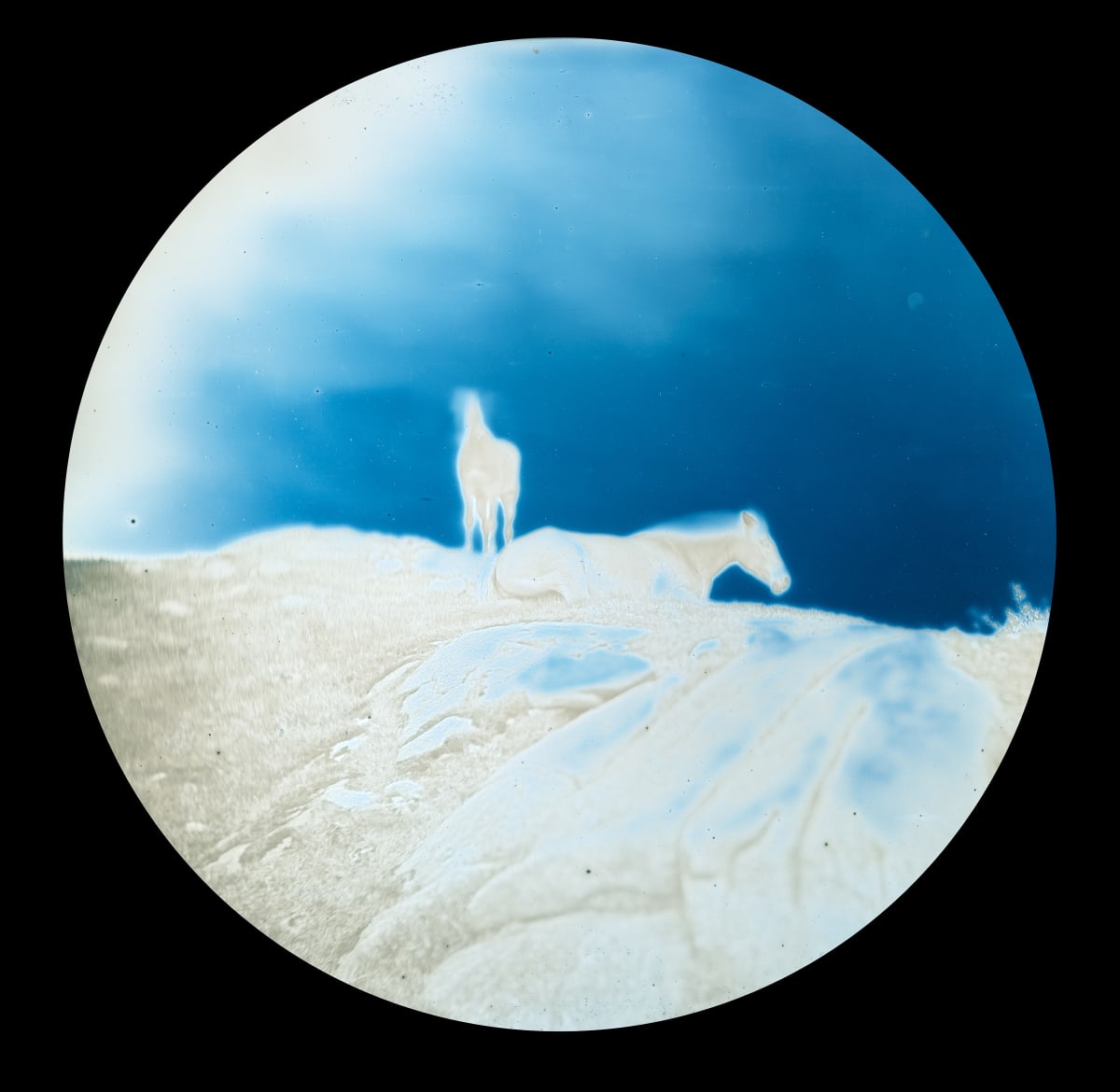 Takashi Arai - Works | Purdy Hicks Gallery