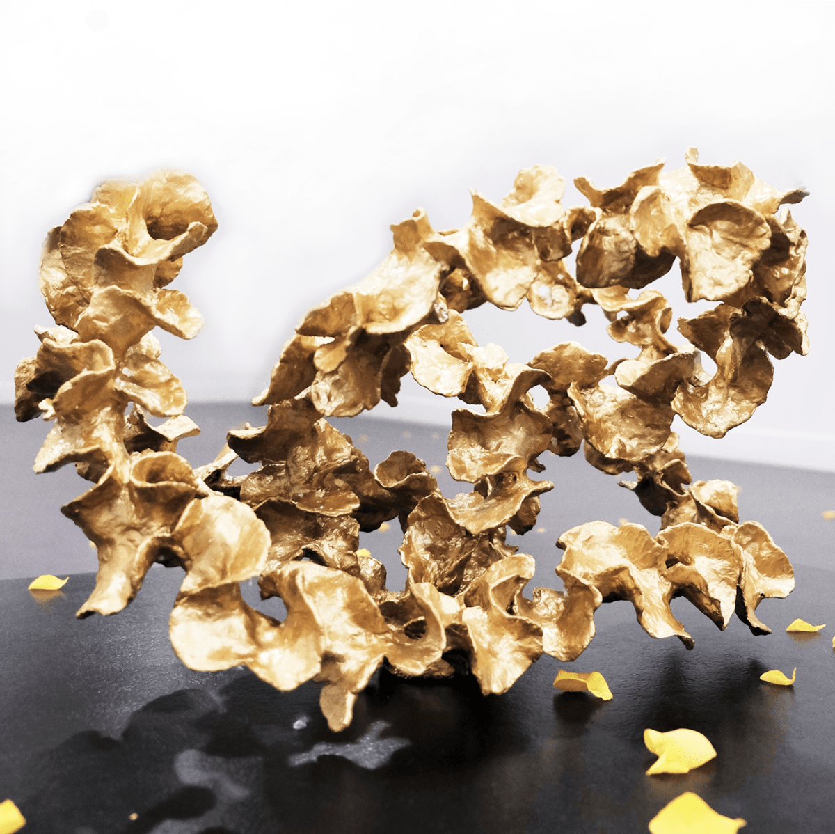 Golden Flower, 2022