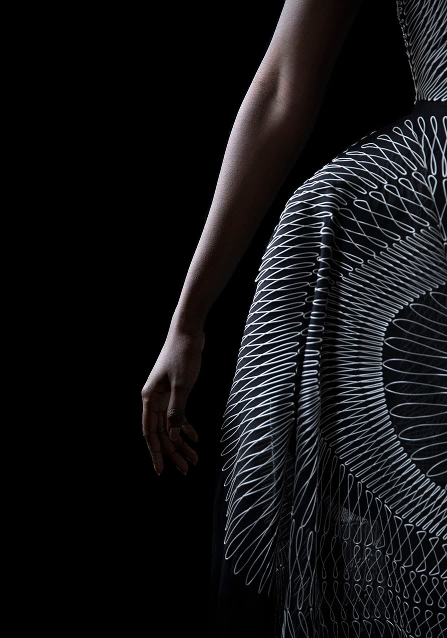 Rademakers Gallery | Carla van de Puttelaar | Sustainable art