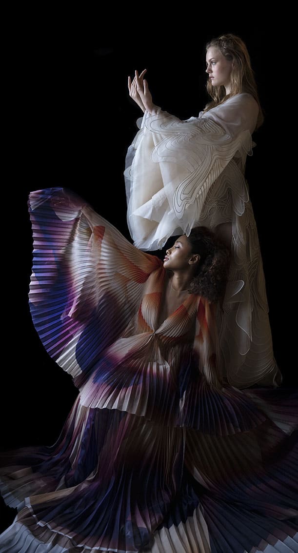 Carla van de Puttelaar, Synergia Series - V | Rademakers Gallery