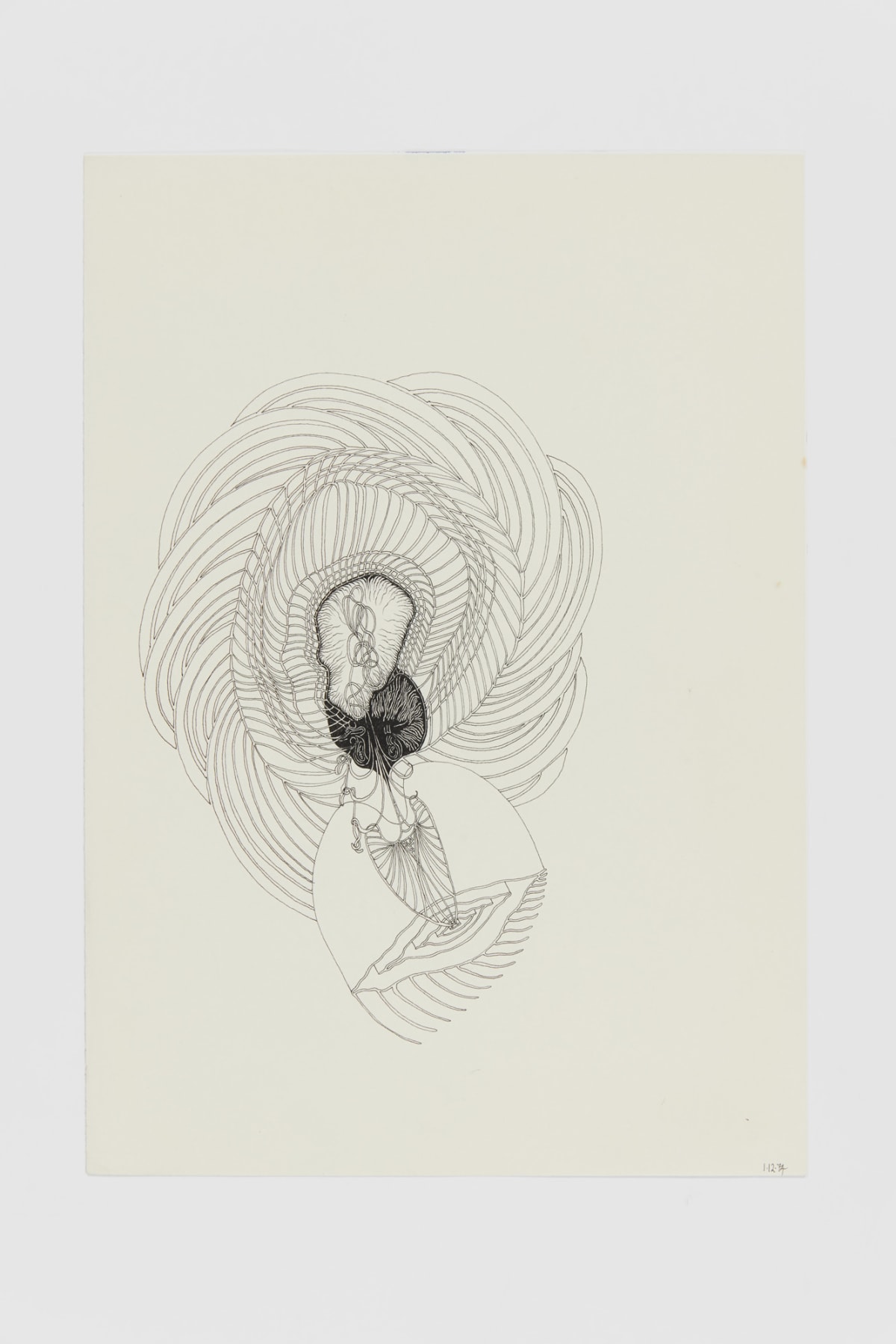 Ann CHURCHILL, 1.12.74 (Daily drawing), 1974/75