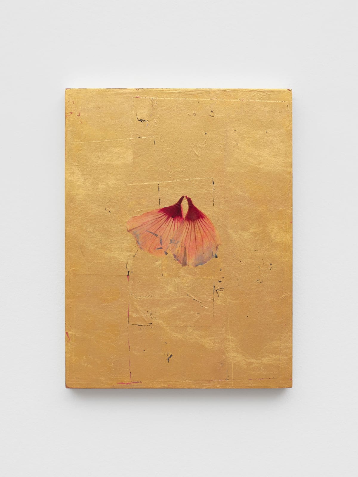 Ria VERHAEGHE, Hibiscus Syriacus 8, 2017