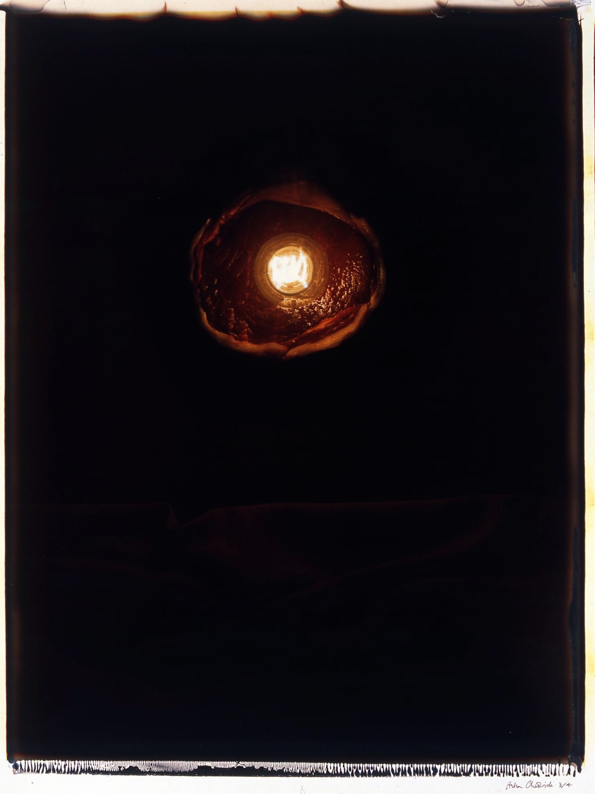 Helen CHADWICK, Meat Abstracts No 1 - 8, 1989