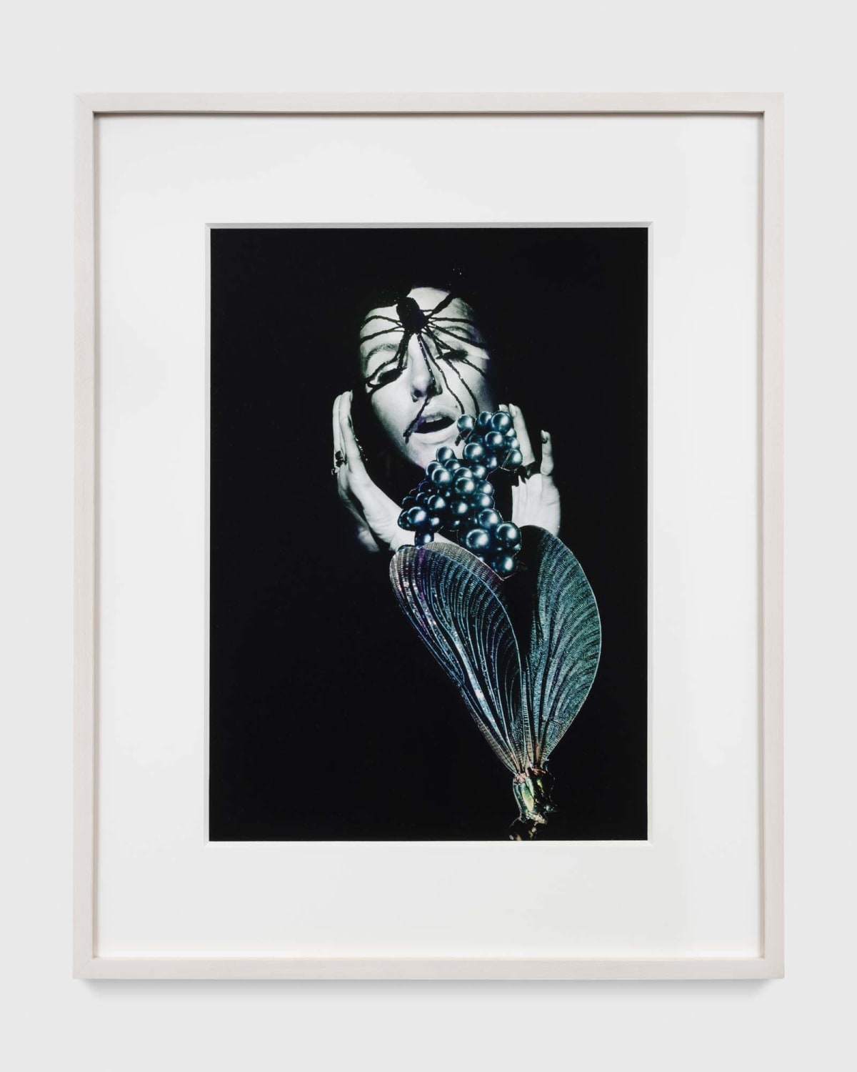 Penny Slinger, Whipping Girl (1970-1977), Available for Sale
