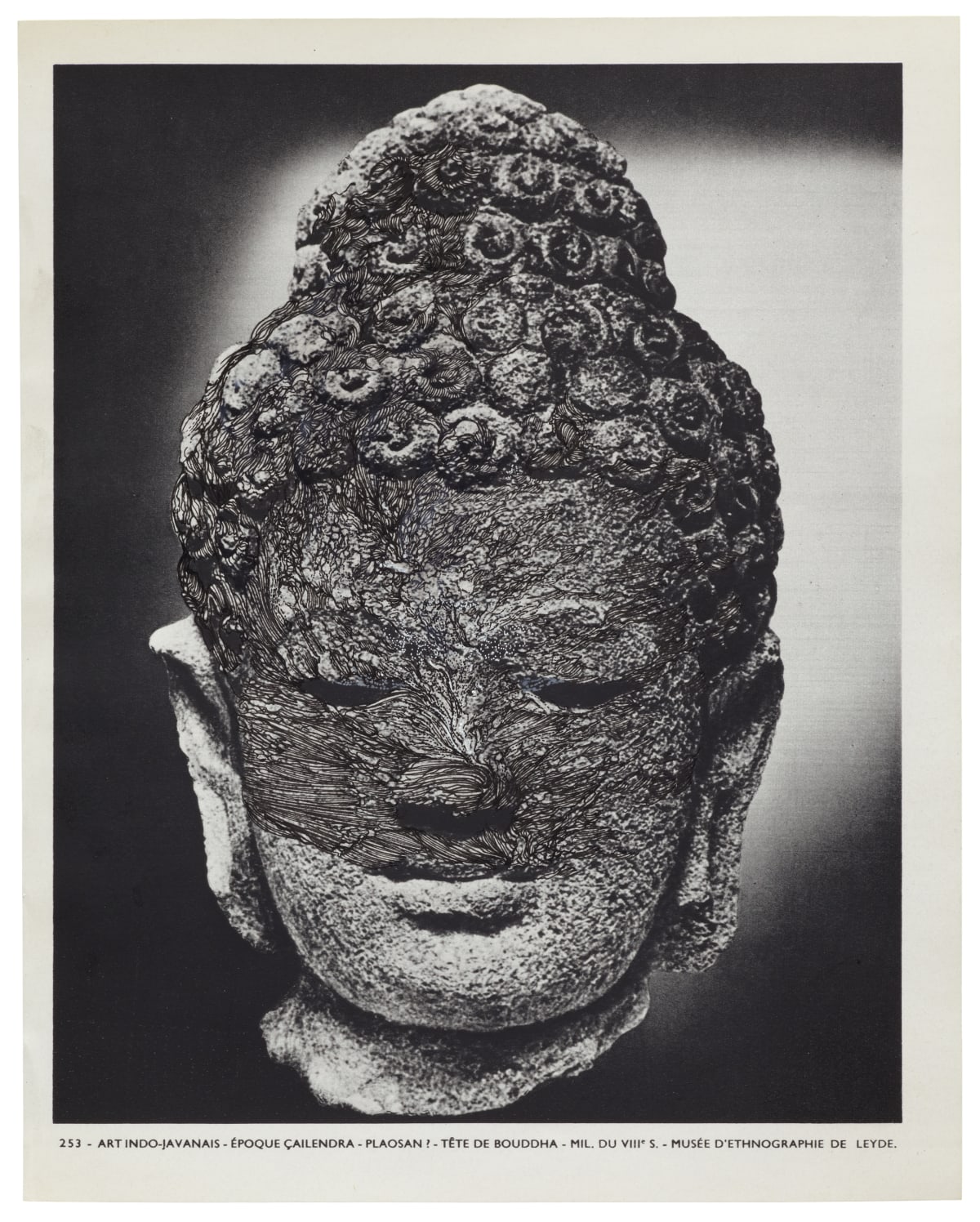 Ann-Marie JAMES MUSÉE IMAGINAIRE, Plate 253, 2013 Ink on bookplate 22.3 x 17.7 cm sheet