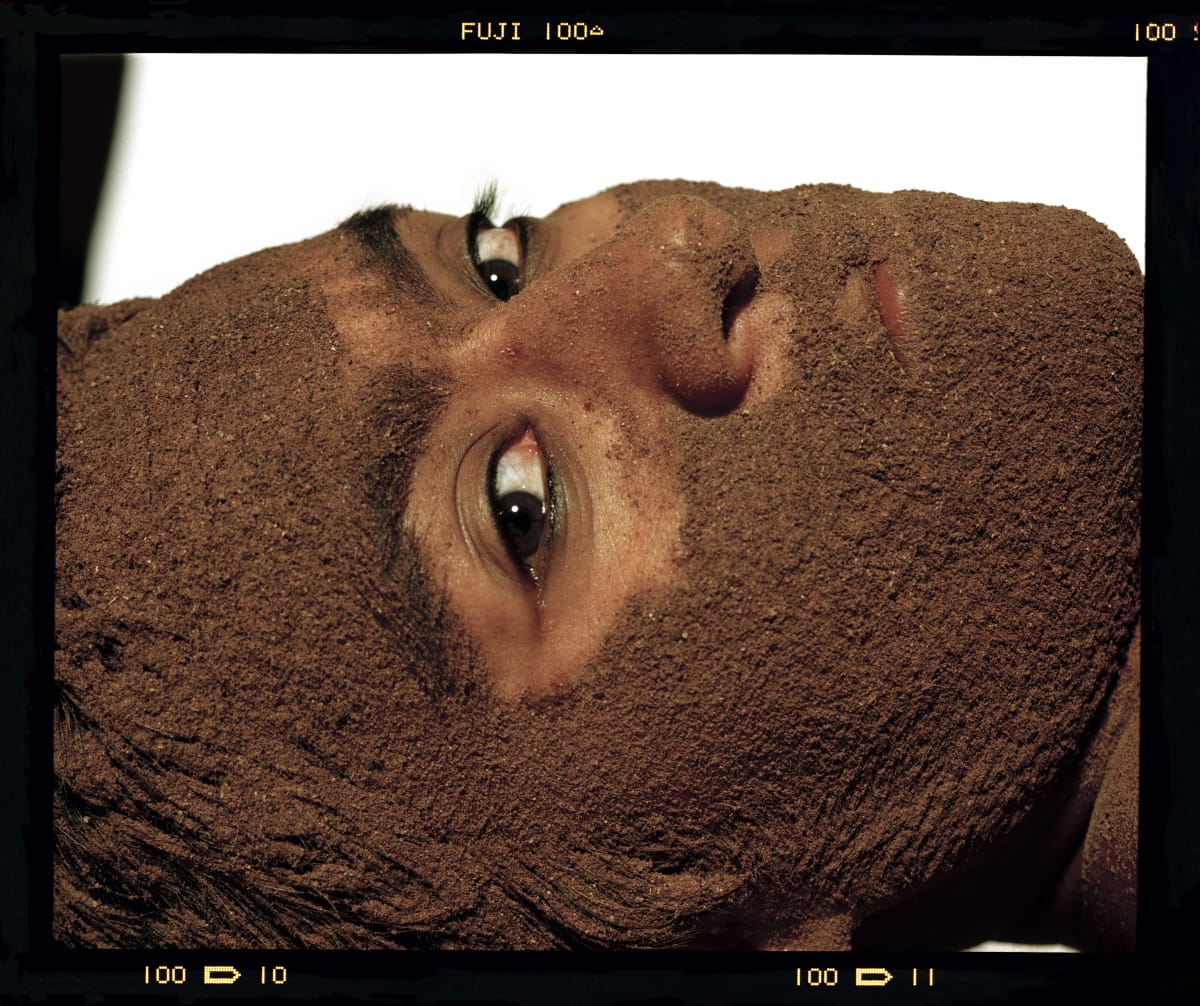 Berni SEARLE, Untitled (brown) from the ‘Colour Me’ series, 1998