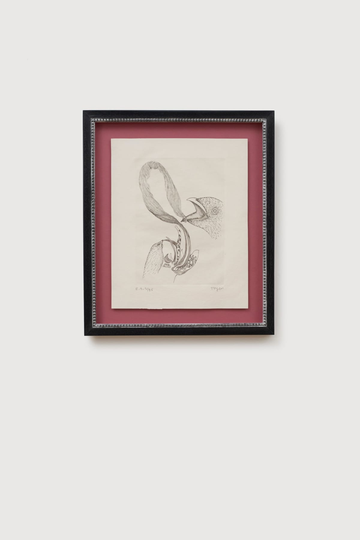 TOYEN, from Le Puits Dand La Tour, Débris de Rêves., 1967