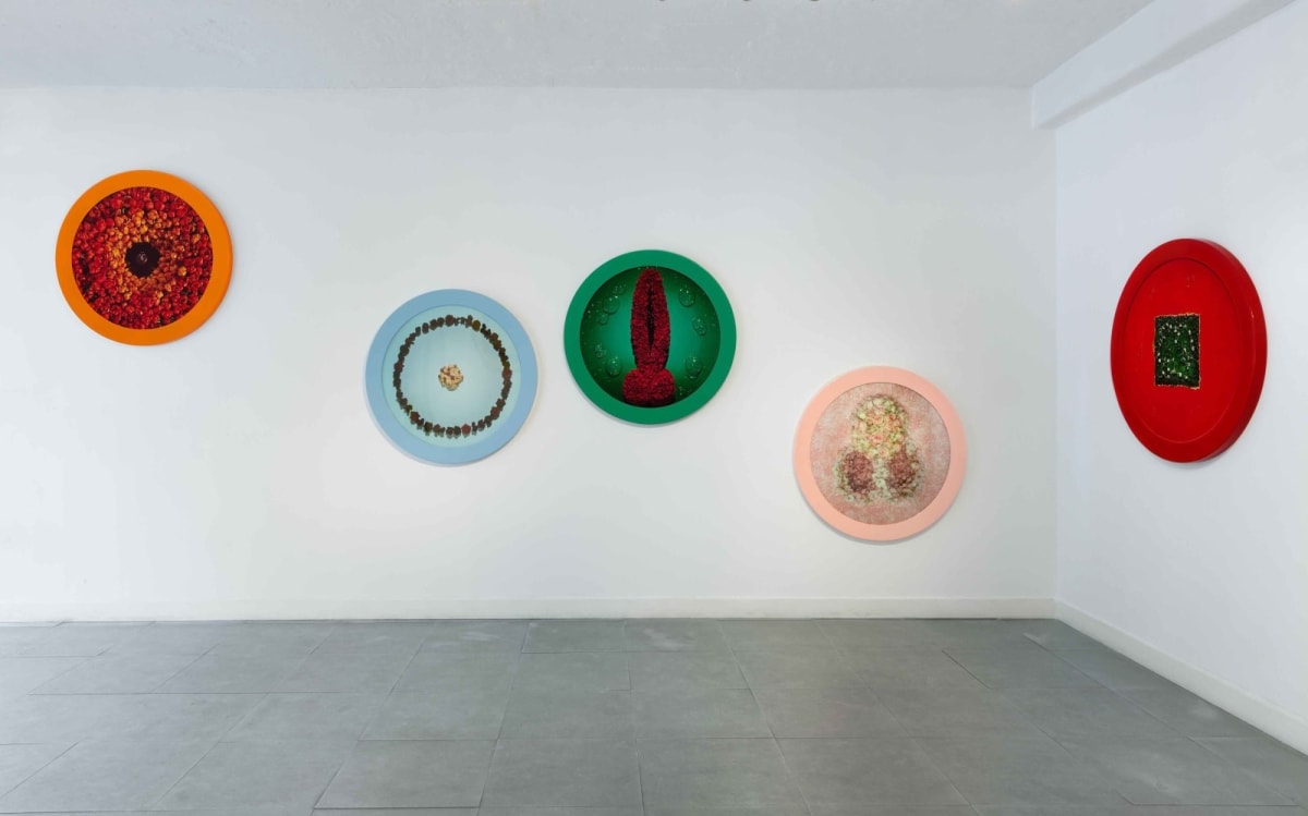 Helen CHADWICK, Wreaths to Pleasure No 1 - 13, 1992-1993